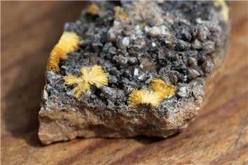 Red Lake Explorer Rises 12% on High-Grade Gold Below Historic Cole Shaft